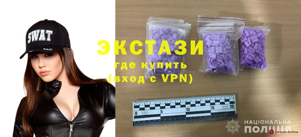 ECSTASY Алзамай