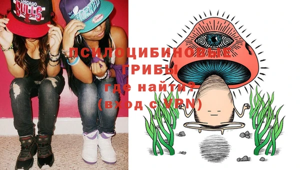 Альфа ПВП Алексин