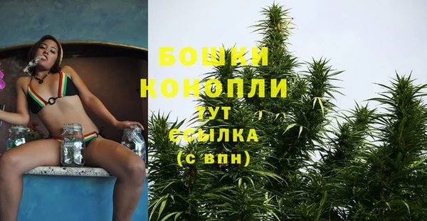 сатива Вуктыл