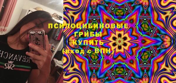 тгк Всеволожск